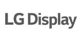 LG Display